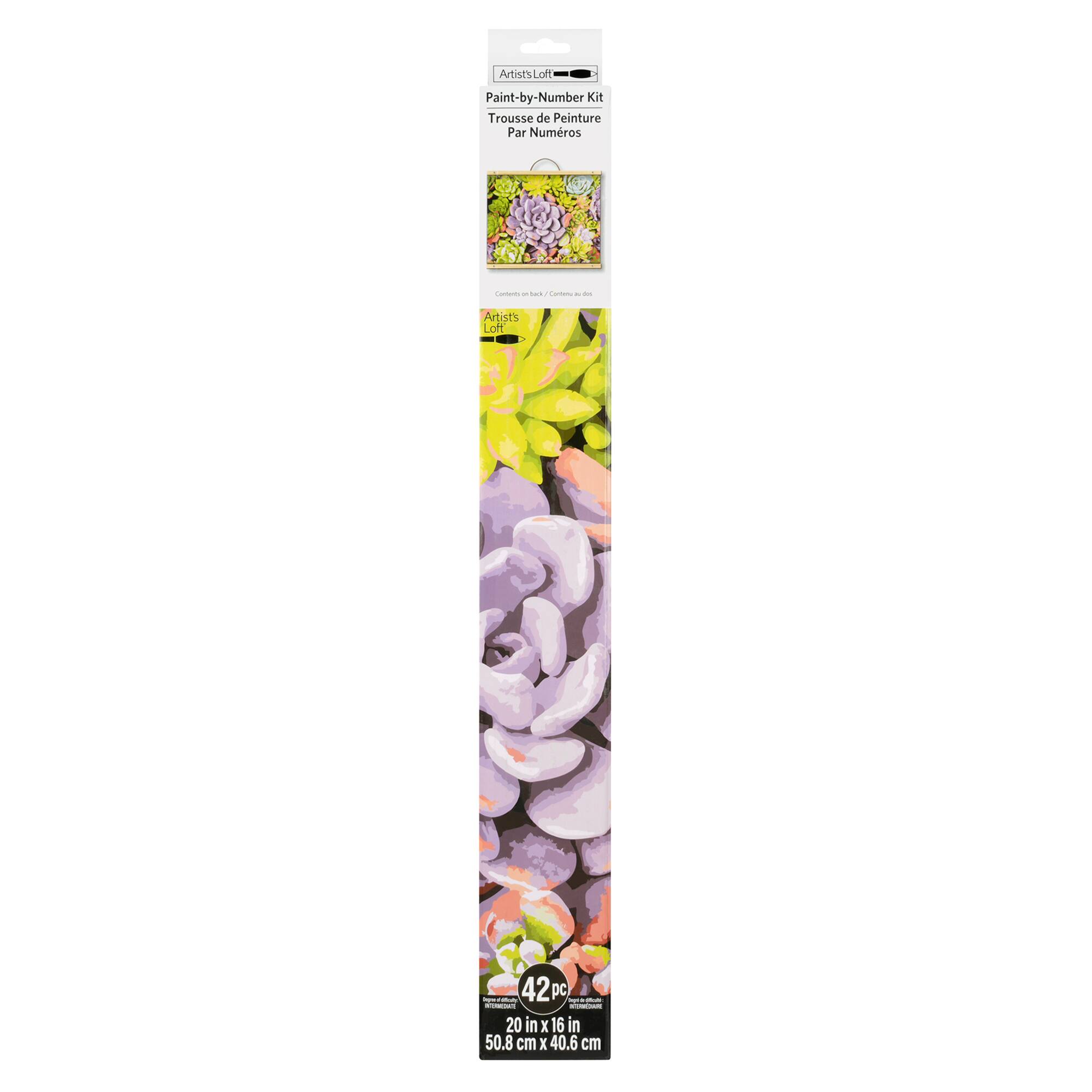 Succulents Paint-by-Number Kit by Artist's Loft®